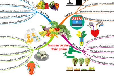 AN TOÀN THỰC PHẨM TRONG TRƯỜNG MẦM NON